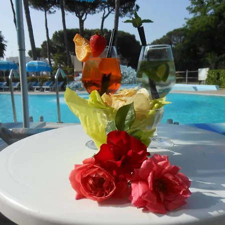 Oasi Hotel 3*
